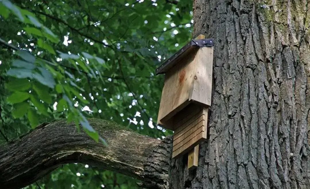 Guarding Rural & Wildlife-Adjacent Areas