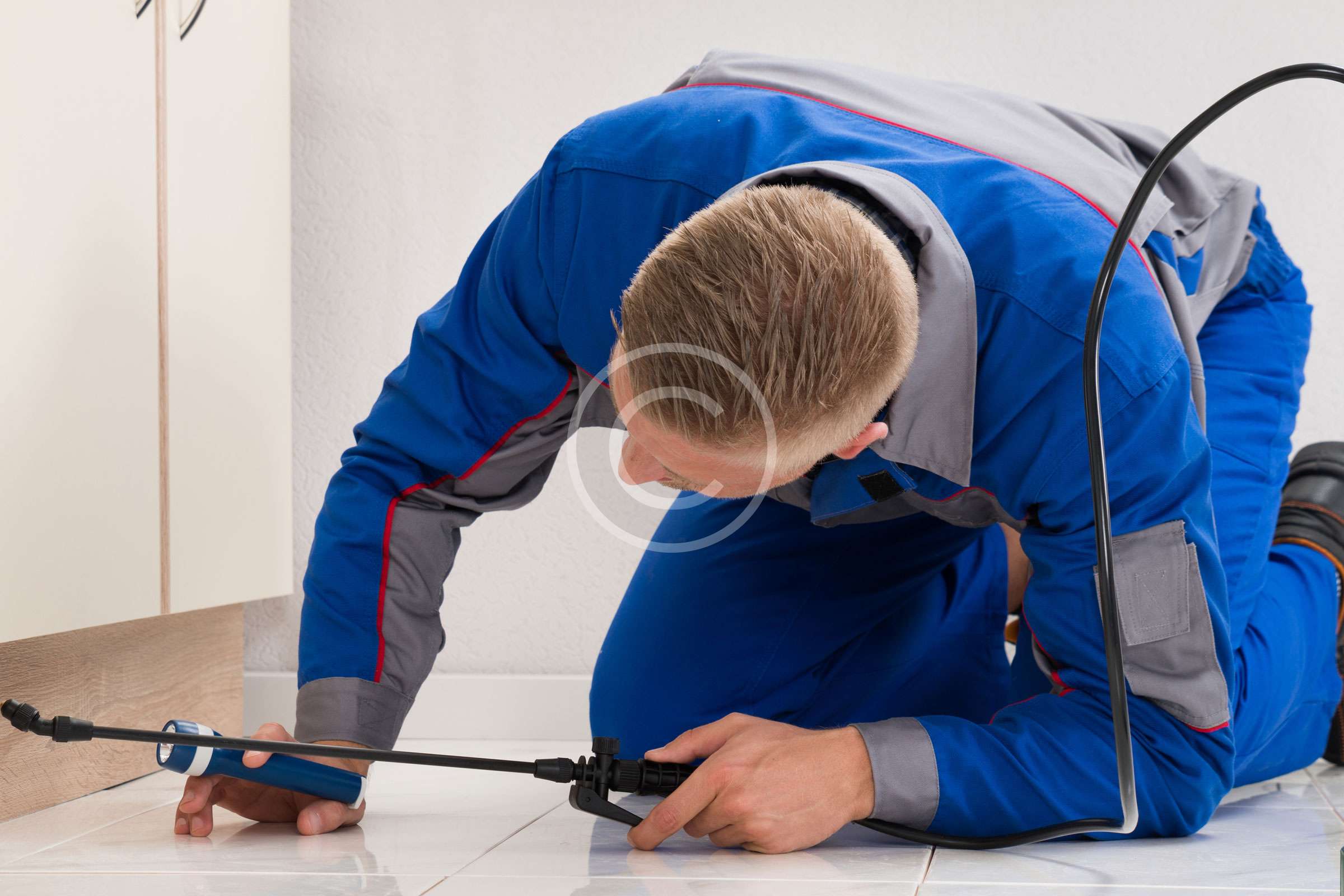 Free Inspections Available