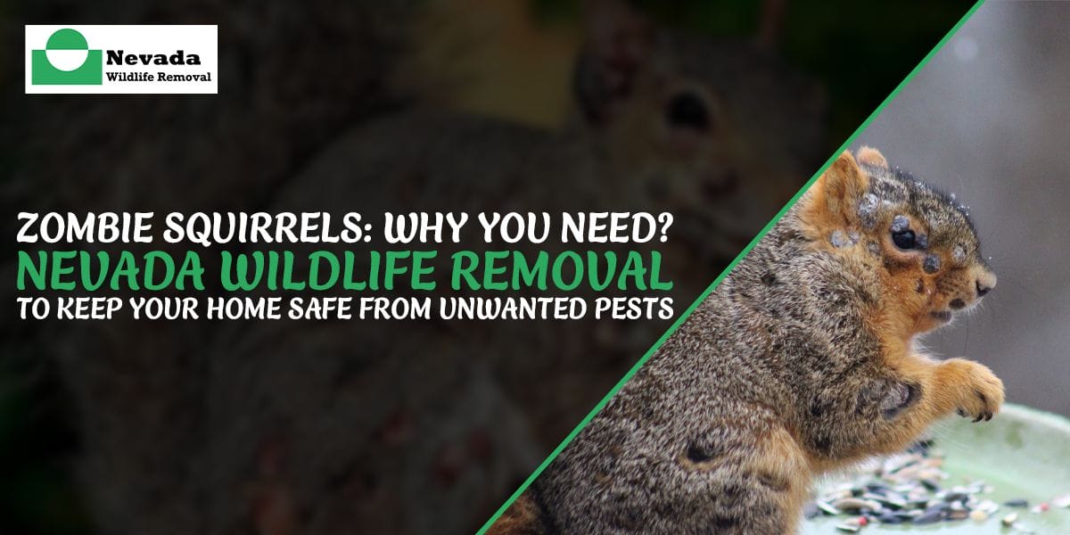 Zombie Squirrels: Why You Need Nevada Wildlife Removal to Keep Your Home Safe from Unwanted Pests